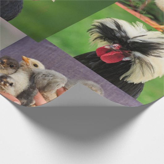Landwirtschaftliche Hühnerfoerme Geschenkpapier (Ecke)