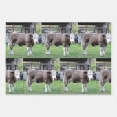 Landwirtschaftliche Nutzungsdauer - Bull - Umschla Geschenkpapier Set (Vorderseite 2)