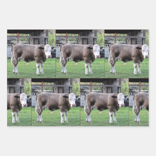 Landwirtschaftliche Nutzungsdauer - Bull - Umschla Geschenkpapier Set (Vorderseite)