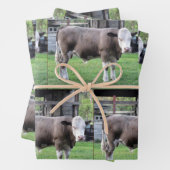 Landwirtschaftliche Nutzungsdauer - Bull - Umschla Geschenkpapier Set (Beispiel)