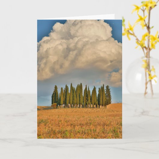 Landwirtschaftliche Zypressen Karte (Gelbe Blume)