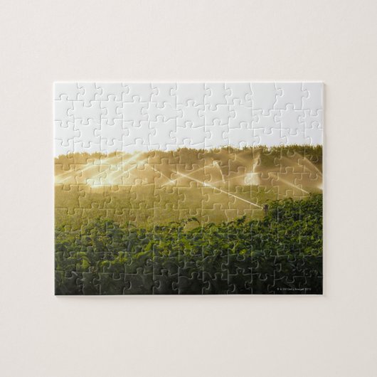 Landwirtschaftliches Bewässerungssystem, das 2 Puzzle (Horizontal)