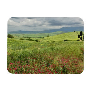 Landwirtschaftliches Feld, Region Toskana in Itali Magnet