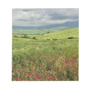 Landwirtschaftliches Feld, Region Toskana in Itali Notizblock