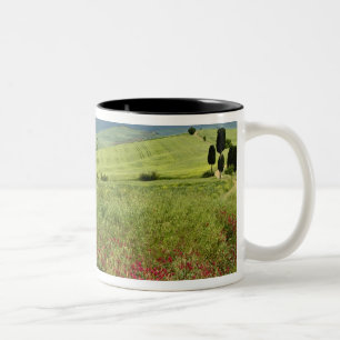 Landwirtschaftliches Feld, Region Toskana in Itali Zweifarbige Tasse