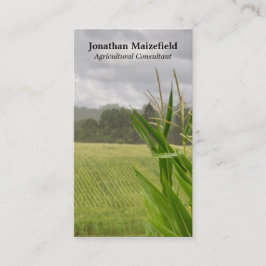 Landwirtschaftliches MaislandschaftsFoto Visitenkarte