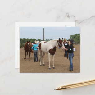 Landwirtschaftsausstellung Showmanship Paints und Postkarte