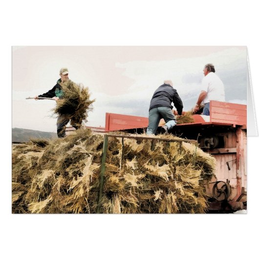 LANDWIRTSCHAFTSKARTE (Vorderseite (Horizontal))