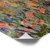 Lane auf dem Mohnfeld von Claude Monet Poster (Ecke)