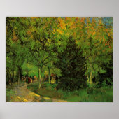 Lane in Public Garden, Arles von Vincent van Gogh Poster (Vorne)