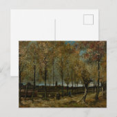 Lane mit Poplars bei Nuenen - Van Gogh - c1885 Postkarte (Vorne/Hinten)