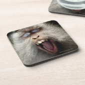 Lang-angebundene Macaques (Macaca fascicularis) Untersetzer (Linke Seite)