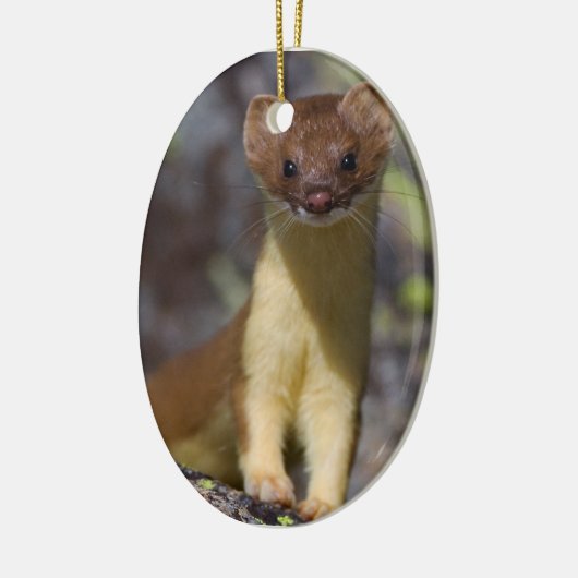 Lang-angebundener Weasel Keramikornament (Links)