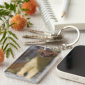 Lang-angebundener Weasel Schlüsselanhänger (Vorderseite rechts)