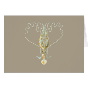 Lang-bewaffneter Tintenfisch