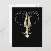 Lang-bewaffneter Tintenfisch Postkarte (Vorne/Hinten)