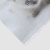 Lang für Sie: Verlorene weiße Kitte mit blauen Aug Seidenpapier (Ausschnitt)