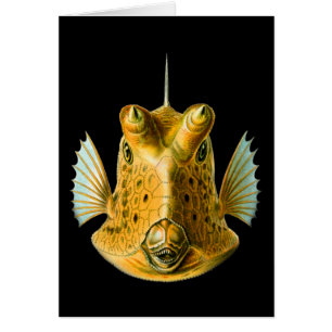 Lang-gehörnter Cowfish