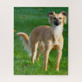 Lang haarige Hunde Hunde Jigsaws. Puzzle (Vertikal)