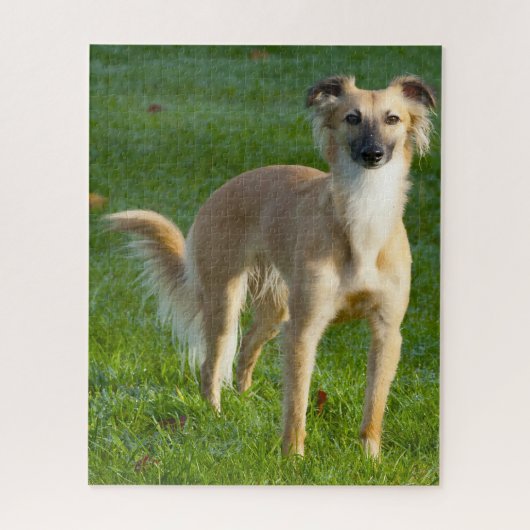 Lang haarige Hunde Hunde Jigsaws. Puzzle (Vertikal)