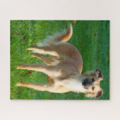 Lang haarige Hunde Hunde Jigsaws. Puzzle (Horizontal)