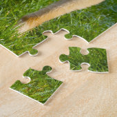 Lang haarige Hunde Hunde Jigsaws. Puzzle (Seite)