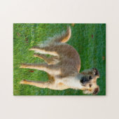 Lang haarige Hunde Hunde Jigsaws. Puzzle (Horizontal)
