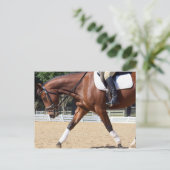 lang und niedrig postkarte (Stehend Vorderseite)