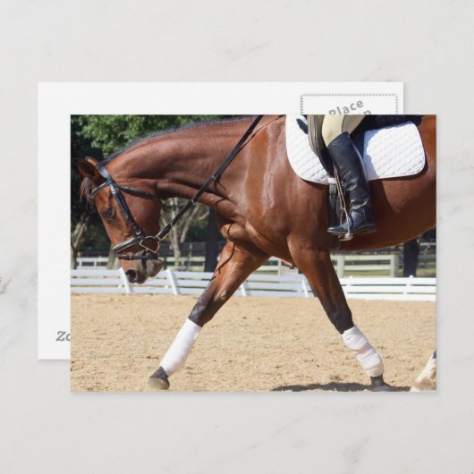 lang und niedrig postkarte (Vorne/Hinten)