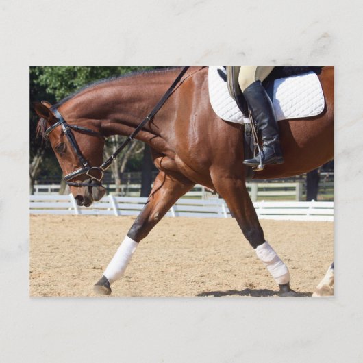 lang und niedrig postkarte (Vorderseite)