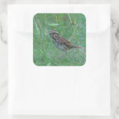 Langammer im Gras Quadratischer Aufkleber (Tasche)