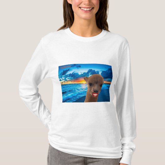 Langärmelige T-Frauen T-Shirt (Vorderseite)