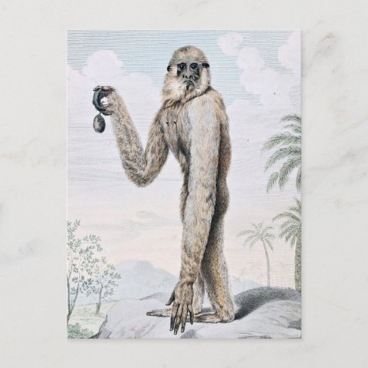 Langarmiger Gibbon-Affe-Kunst Postkarte (Vorderseite)
