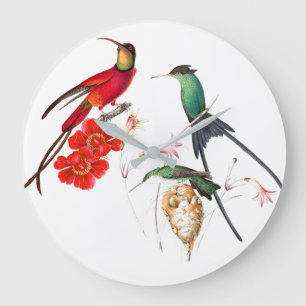 Lange angebundene Kolibri-Vogel-BlumenWanduhr Große Wanduhr
