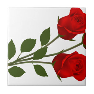 Lange aufgehaltene Rosen Fliese