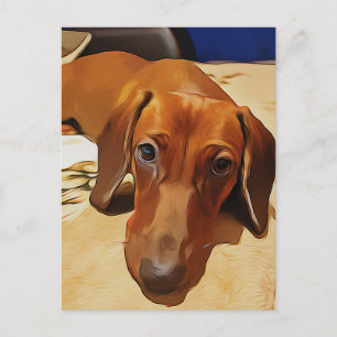 Lange Dackel liegt auf dem Bett Postkarte