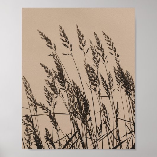Lange Gras bei Dämmerung in Sepia Poster (Vorne)