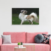 Lange Haahaaaaaaa Blick auf Kamera Leinwanddruck (Insitu (Wohnzimmer))