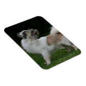 Lange Haahaaaaaaa Blick auf Kamera Magnet (Rechte Seite)