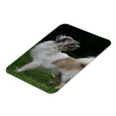 Lange Haahaaaaaaa Blick auf Kamera Magnet (Linke Seite)