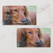 Lange Haar-Dackel-Geschäfts-Karte Visitenkarte (Vorne/Hinten)