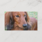 Lange Haar-Dackel-Geschäfts-Karte Visitenkarte (Rückseite)