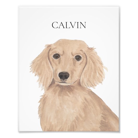 Lange Haare Englische Rote Dackel Kunst Fotodruck (Vorne)