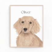 Lange Haare Englische Rote Dackel Kunst Fotodruck