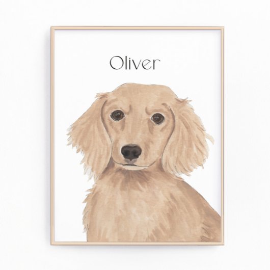 Lange Haare Englische Rote Dackel Kunst Fotodruck