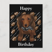 LANGE HAIRED RED DACKEL POSTKARTE (Vorderseite)