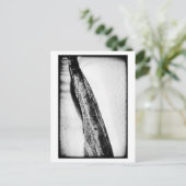 lange harte Kälte einsam Postkarte (Stehend Vorderseite)