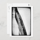 lange harte Kälte einsam Postkarte (Vorne/Hinten)