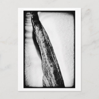 lange harte Kälte einsam Postkarte