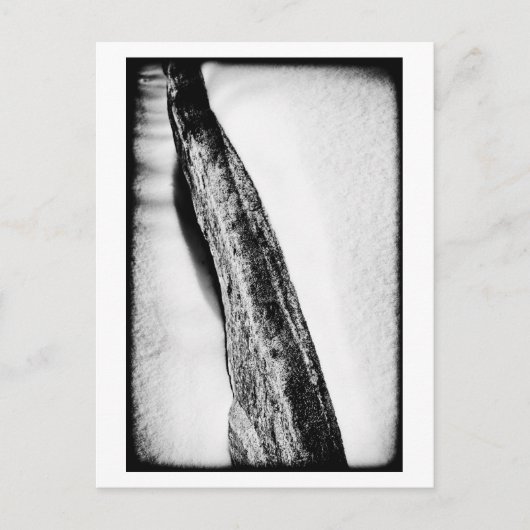 lange harte Kälte einsam Postkarte (Vorderseite)